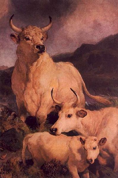Sir Edwin Landseer Wild Cattle at Chillingham China oil painting art